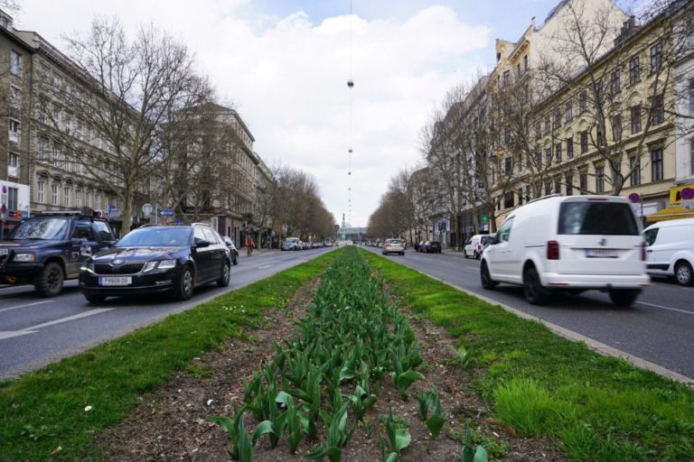 Mittelstreifen der Praterstraße Richtung Praterstern, Wien-Leopoldstadt