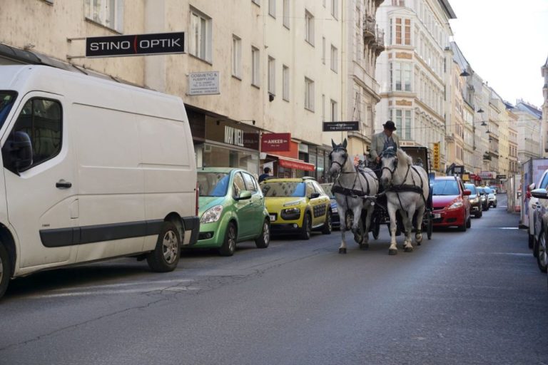 Fiaker und Autos in der Wollzeile in Wien