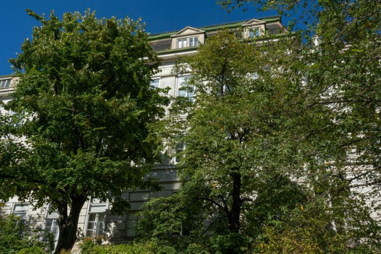 historisches Klinikgebäude in Wien hinter Bäumen