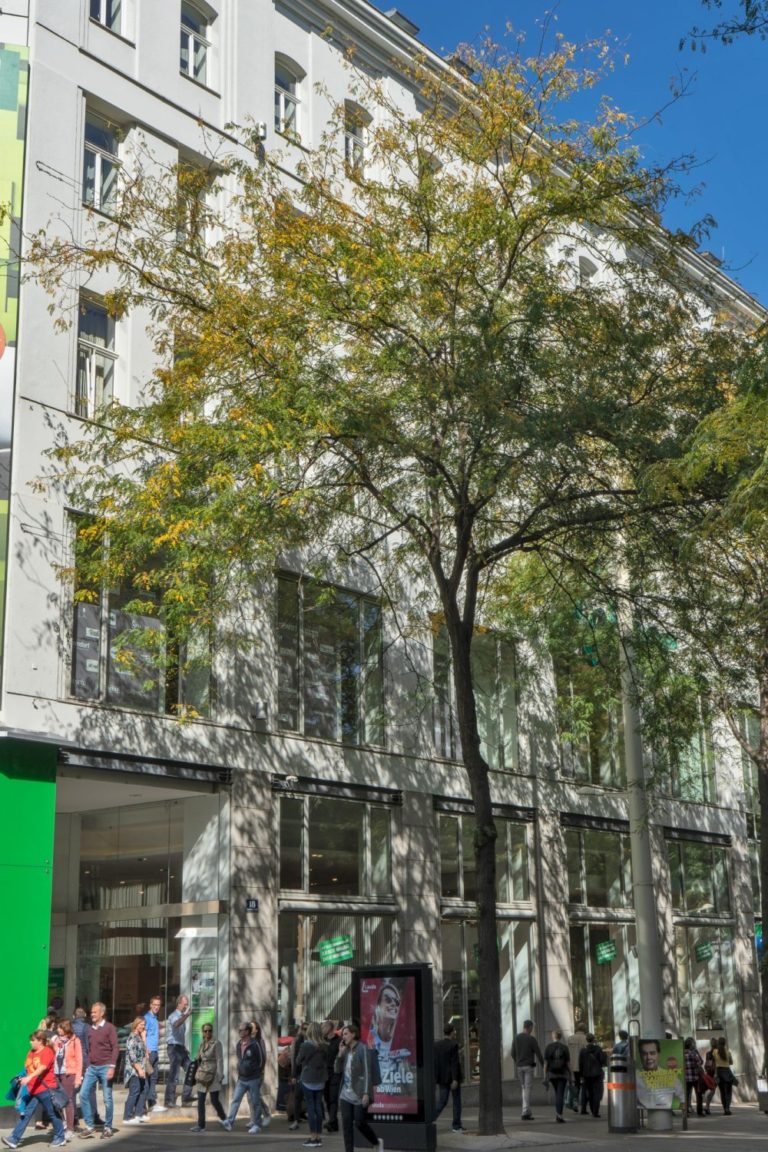 Leiner, Mariahilfer Straße, ehemaliges Warenhaus "Zur großen Fabrik" von Stefan Esders, Wien-Neubau