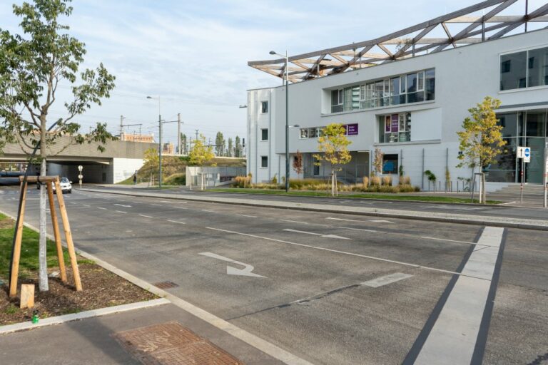 Straße, Brücke, Bäume, Auto, Gebäude