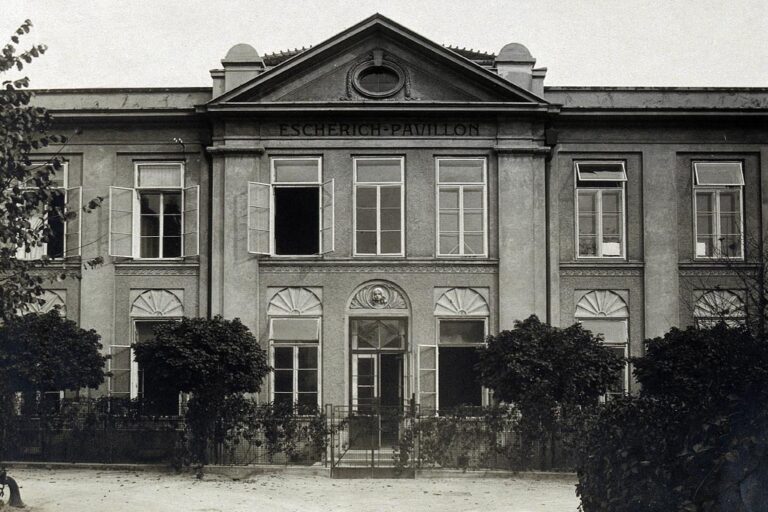 alte Aufnahme eines Gebäudes des Wiener Allgemeinen Krankenhauses