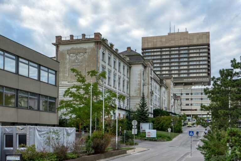 I. Medizinische Klinik und AKH-Neubau, Wien