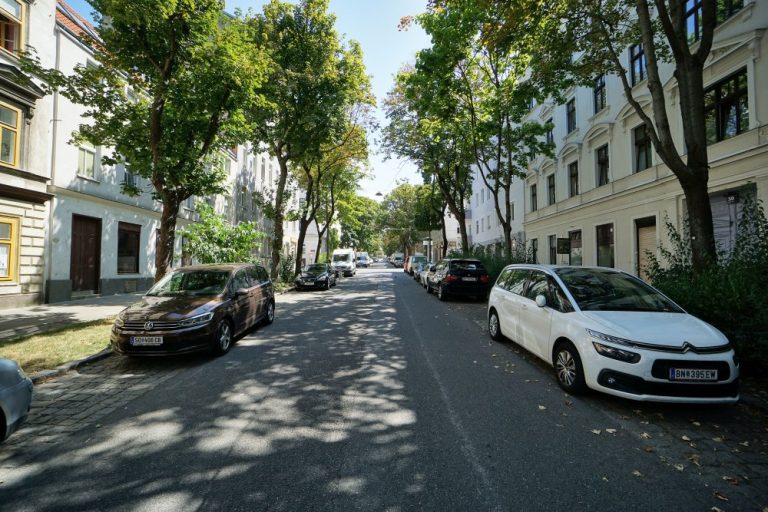 Straße mit Bäumen, Wolfganggasse in Wien-Meidling