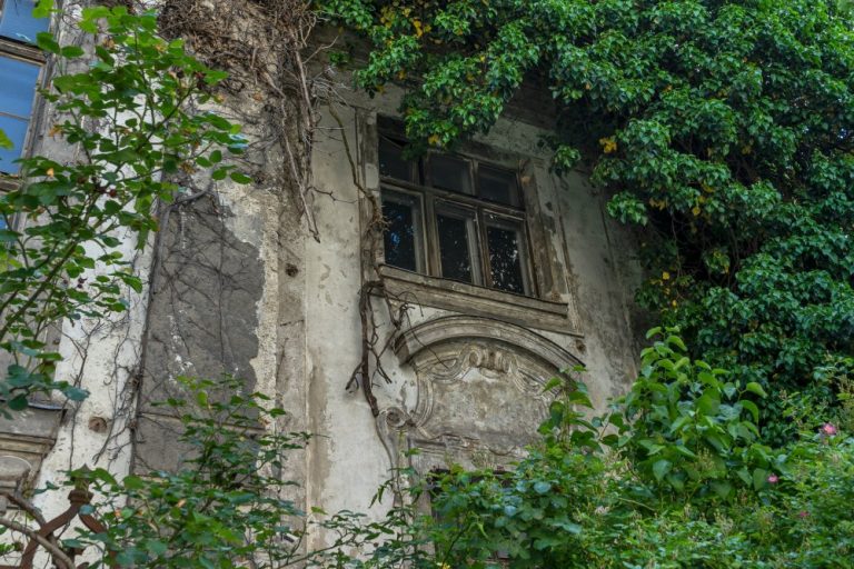 überwuchertes Fenster der Villa Mautner-Jäger, Landstraßer Hauptstraße 140-142