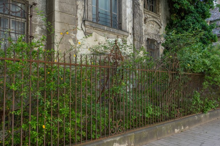 Garten vor der Villa Mautner-Jäger, Landstraßer Hauptstraße 140-142, Jugendstil, Zaun, Verfall