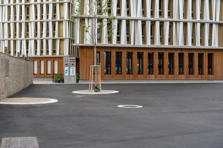 Asphaltfläche im Seeparkquartier in der Seestadt Aspern, Wien, Donaustadt