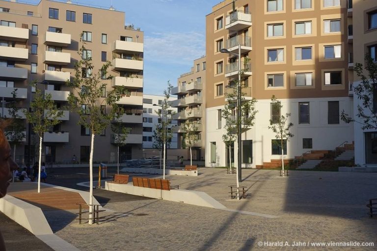 öffentlicher Raum in der Seestadt Aspern, Pflasterung, junge Bäume, Bänke, Neubauten, Donaustadt. Wien
