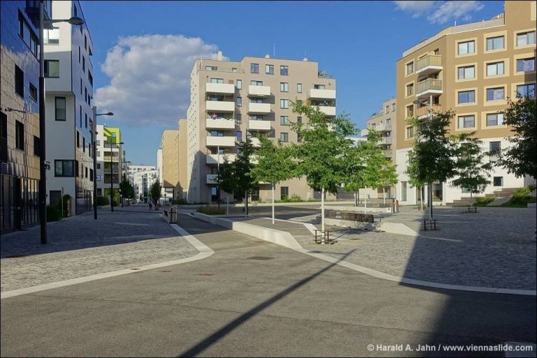 öffentlicher Raum in der Seestadt Aspern, Pflasterung, junge Bäume, Bänke, Neubauten, Donaustadt. Wien