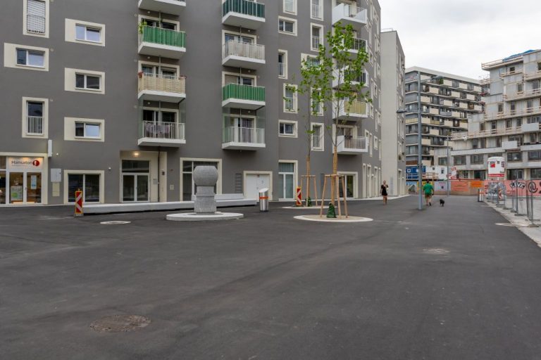 öffentlicher Raum im Seeparkquartier, Seestadt Aspern, Fußgängerzone, Asphalt, Brunnen, junge Bäume, Baustelle