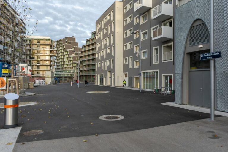 Seestadt Aspern, Fußgängerzone, Seeparkquartier, Asphalt, 1220 Wien
