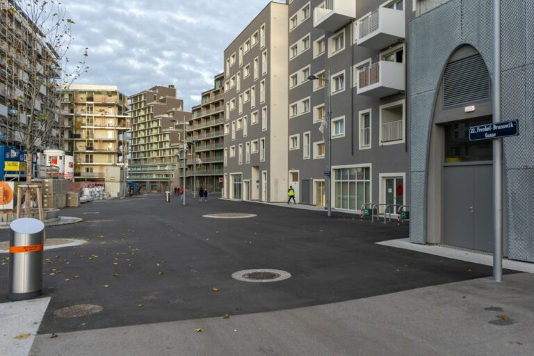 Seestadt Aspern, Fußgängerzone, Seeparkquartier, Asphalt, 1220 Wien