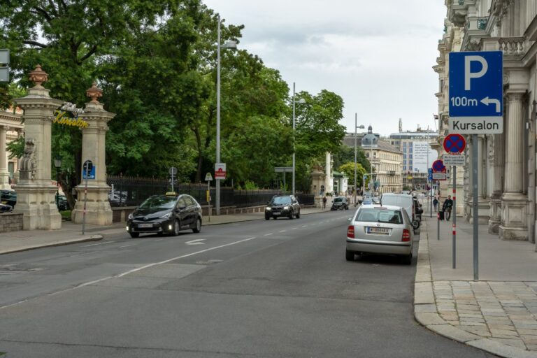 Straße in Wien, Park, Bäume