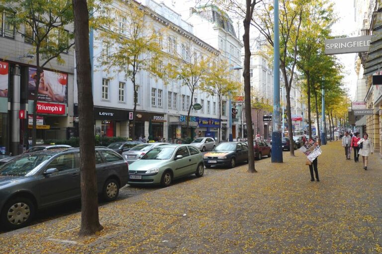 Mariahilferstraße mit breitem Gehsteig, Fußgängern, fahrenden und parkenden Autos, Wien