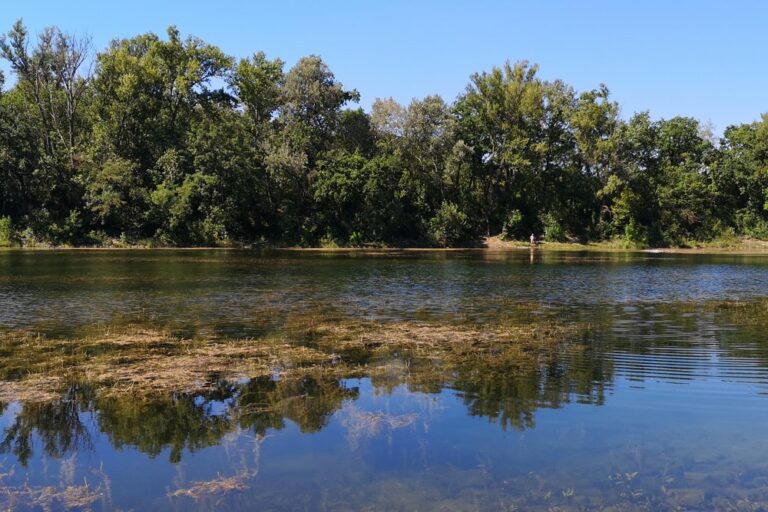 Naturschutzgebiet Donau-Oder-Kanal in der Lobau (Foto: 2020, Meru7, CC BY-SA 4.0)