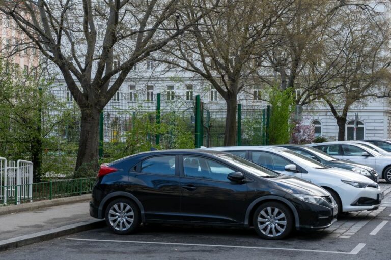 parkende Autos am Kardinal-Nagl-Platz