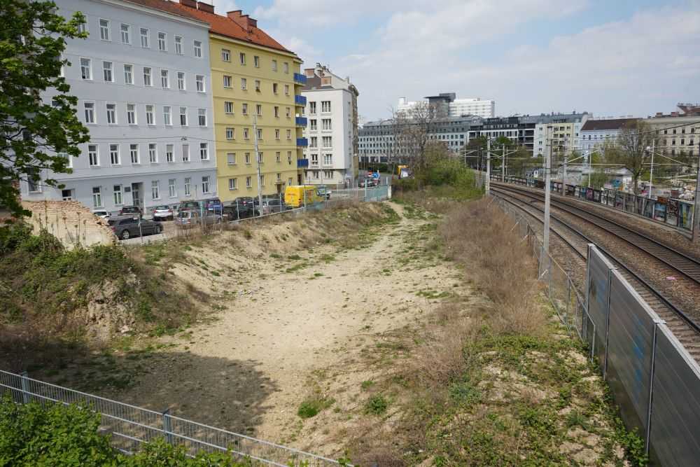 Mehr über den Artikel erfahren Kein Grün für die Hitzeinsel