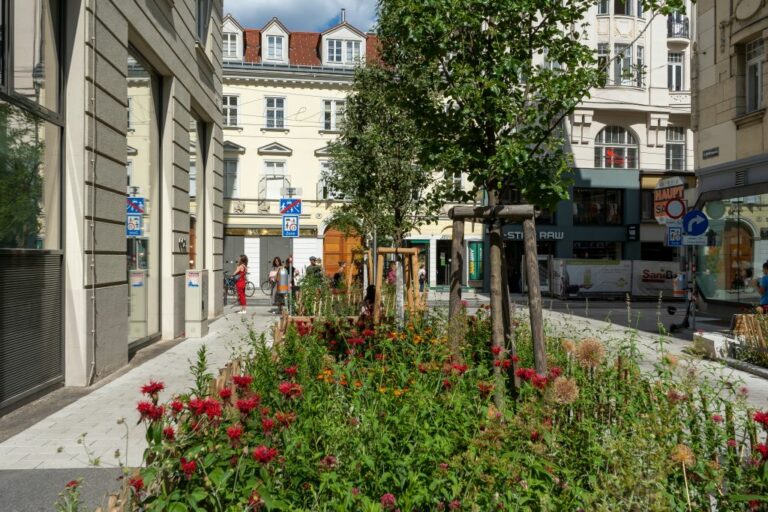 begrünte Straße in Wien, Richtergasse/Neubaugasse