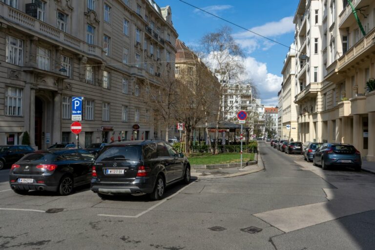 Grünflächen, parkende Autos, Asphalt