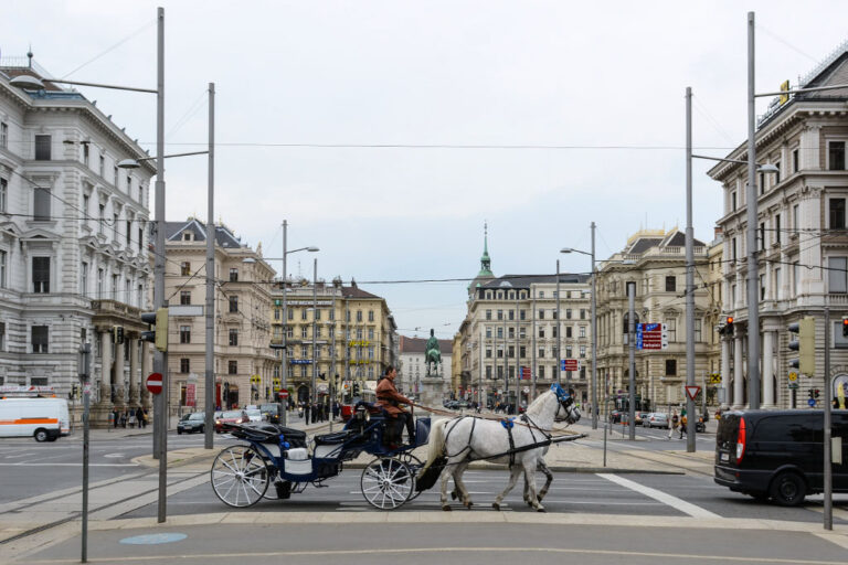 Platz in Wien, Fiaker, Autos