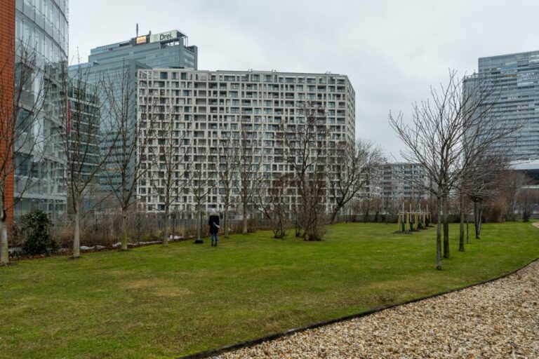 Hochhäuser, Rasen, Bäume, Wien-Donaustadt