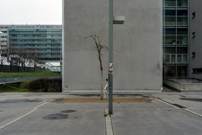 Baum vor einer kahlen Fassade eines Wohnhauses im 22. Bezirk in Wien