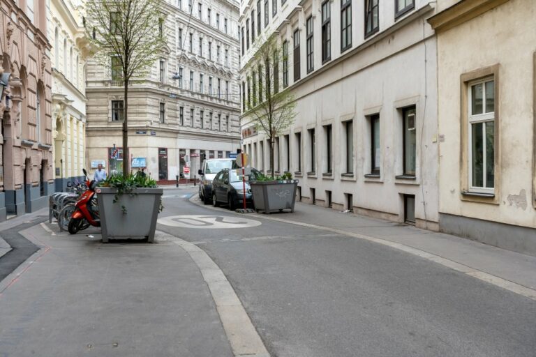 Begegnungszone in der Wehrgasse, Bäume