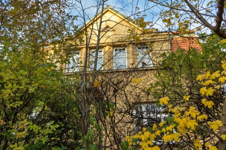 Villa in der Braungasse 30, Architektur der Zwischenkriegszeit, Bäume, Sträucher