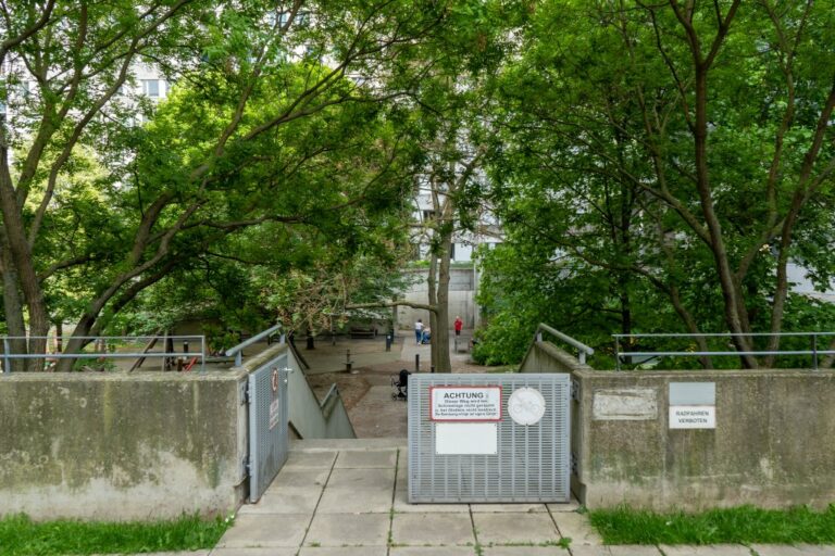 Bäume in der Donau City, Park, Treppe