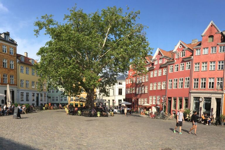 alter Platz mit großem Baum in Kopenhagen