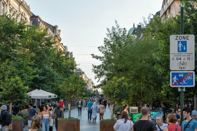 Straße im Zentrum von Brüssel, Fußgängerzone, Bäume, Menschen, Straßenschilder