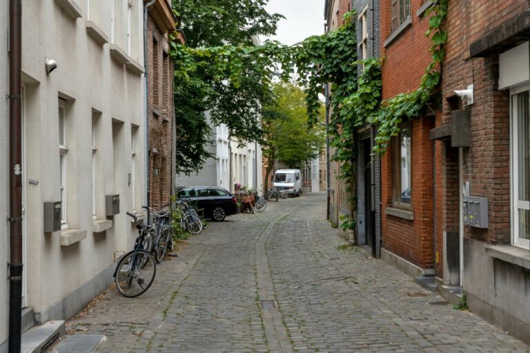 Straße in Gent, alte Häuser, Kletterpflanzen, abgestellte Fahrräder, Autos, Pflastersteine