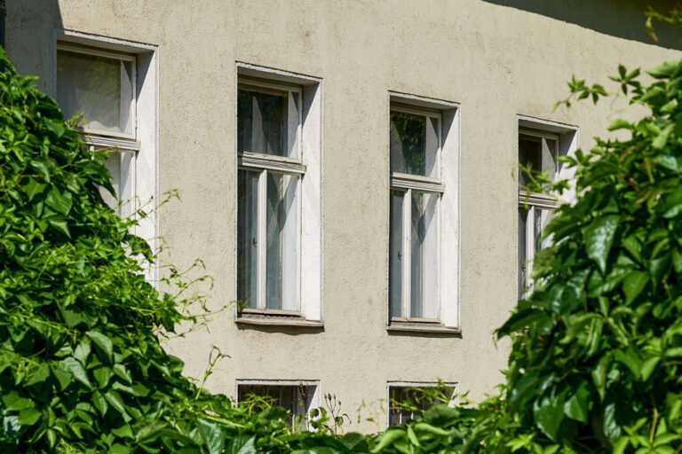 Fenster des Altbaus in der Seisgasse 18, im Vordergrund Pflanzen