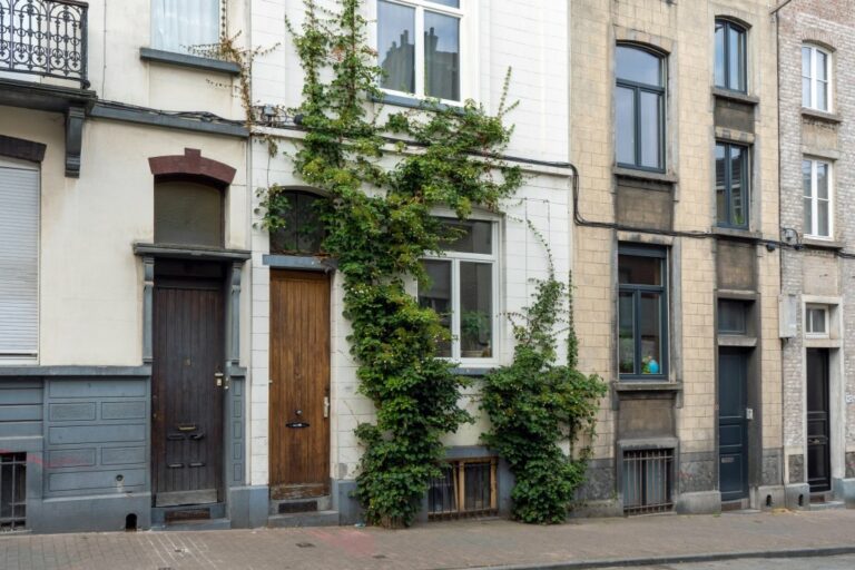 Fassadenbegrünung in Brüssel, Kletterpflanzen, alte Häuser