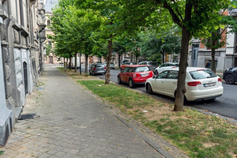 Allee in Brüssel, Autos, alte Häuser