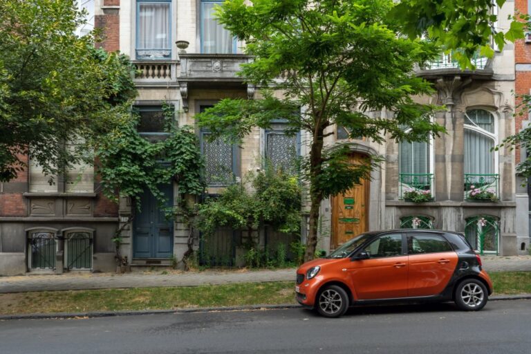 Fassadenbegrünung und Bäume in Brüssel, Auto, alte Häuser