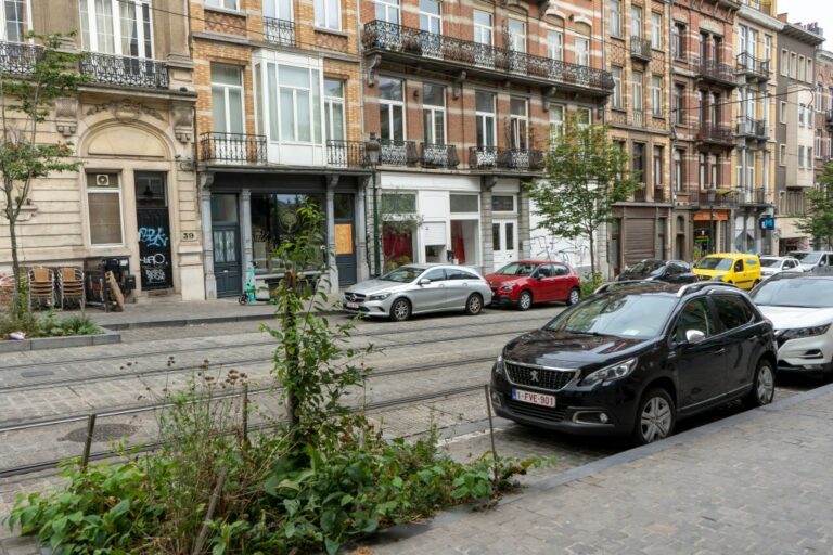 Straße in Brüssel, Autos, Häuser, Pflanzen, Straßenbahnschienen