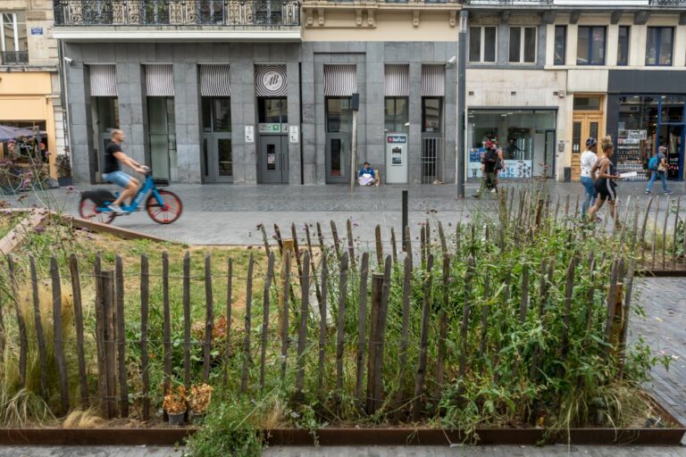 Fußgängerzone mit Grünfläche in Brüssel, Radfahrer, Fußgänger