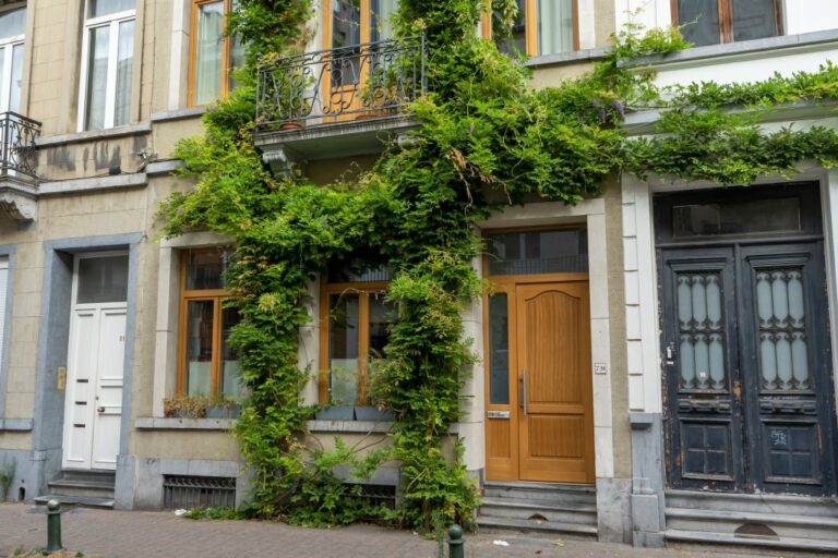 Fassadenbegrünung in Brüssel, alte Häuser, Erdgeschoß