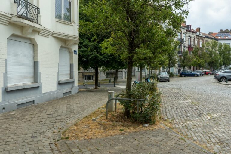 Platz in Brüssel, Bäume, Häuser, parkende Autos
