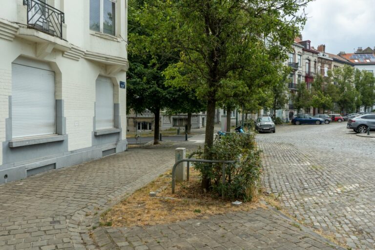 Platz in Brüssel, Bäume, Häuser, parkende Autos