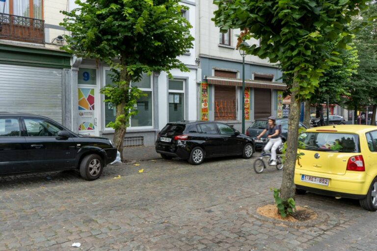 Radfahrerin fährt auf einer Straße in Brüssel, Bäume, parkende Autos, gepflasterte Straße