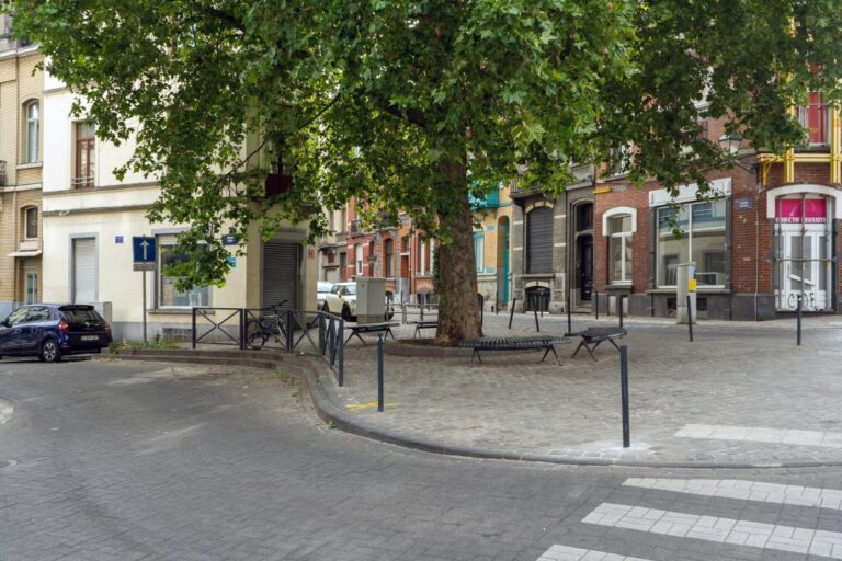 großer Baum an einer kleinen Kreuzung in Brüssel, alte Häuser, Autos, Sitzbänke, Zebrastreifen