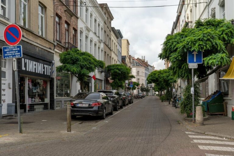 Straße mit Bäumen in Brüssel, parkende Autos, Verkehrszeichen, kleine Häuser