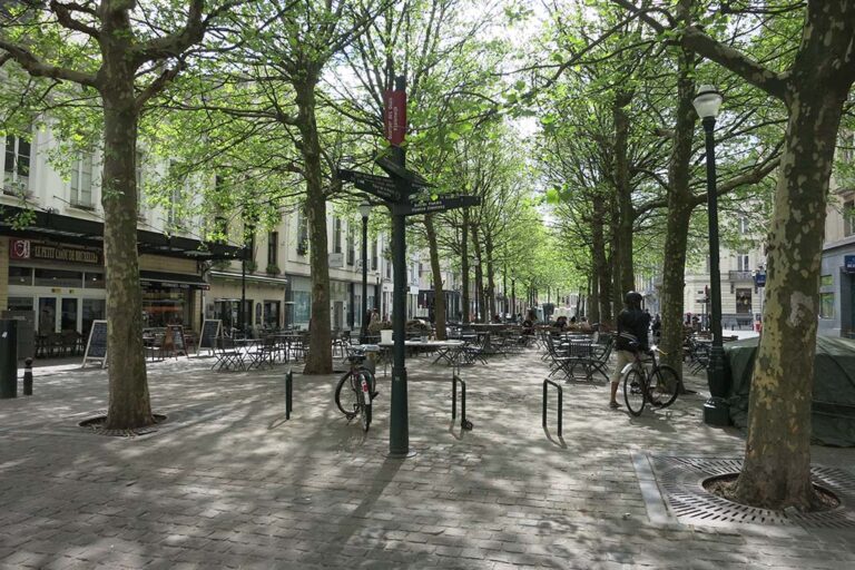 Bäume auf einem Platz in der Innenstadt von Brüssel, Fahrräder, Gastgarten