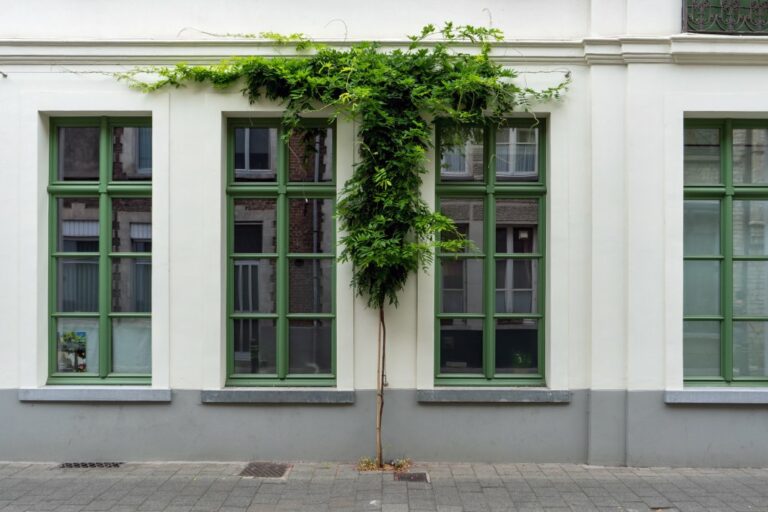 Fassadenbegrünung im Erdgeschoß eines Hauses in Gent