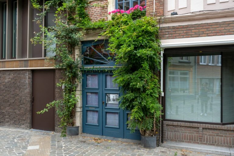 Kletterpflanzen um eine Tür eines Hauses in Gent