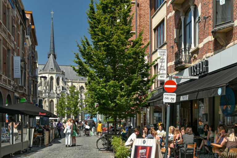 Fußgängerzone und Gastgärten im Stadtzentrum von Leuven in Belgien, alte Häuser, Kirche, Bäume