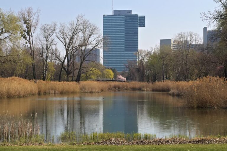 Hochhaus vor einem Teich, Bäume, Schilf, Wien-Donaustadt