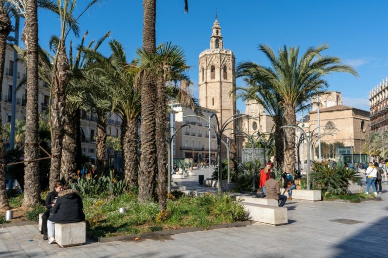 Palmen auf einem Platz in Spanien, Kathedrale, Valencia